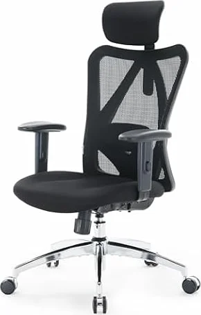 SIHOO M18 Ergonomic Office Chair, Adjustable Lumbar Support, 330 lb, Black